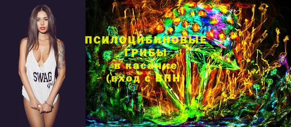ПСИЛОЦИБИНОВЫЕ ГРИБЫ Аркадак