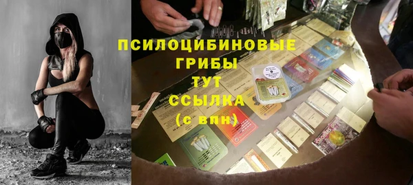 трава Арсеньев