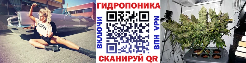 Канабис THC 21% Полярный